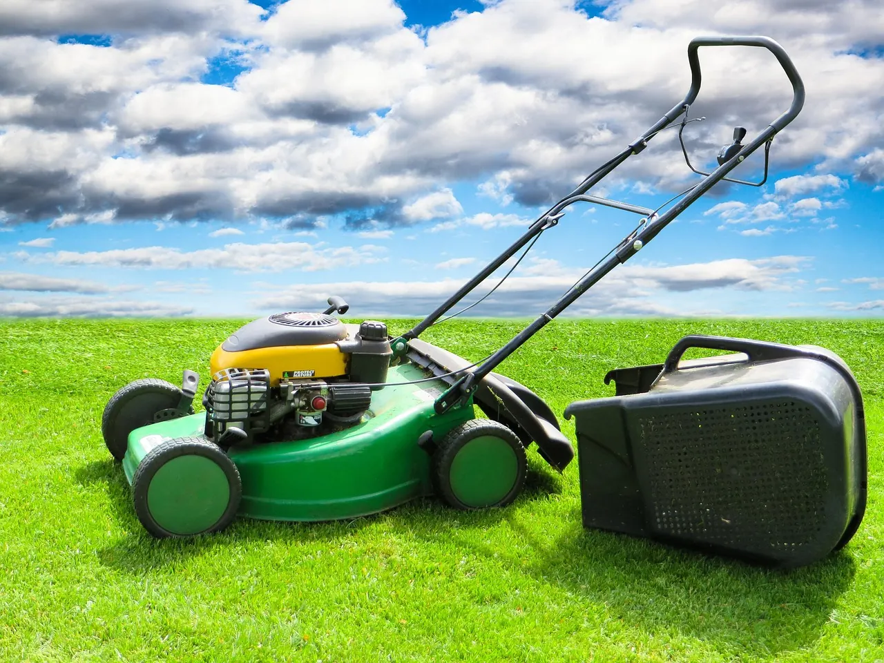 lawn mower grass